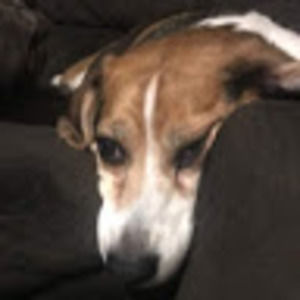 Meet your Posher, Todd